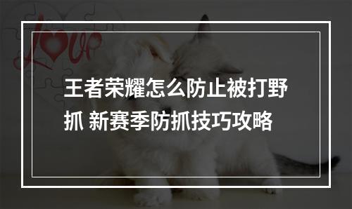 王者荣耀怎么防止被打野抓 新赛季防抓技巧攻略