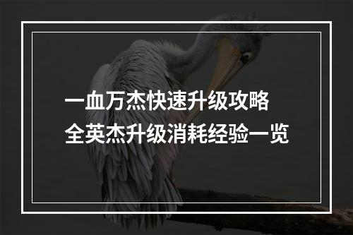 一血万杰快速升级攻略 全英杰升级消耗经验一览