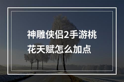 神雕侠侣2手游桃花天赋怎么加点