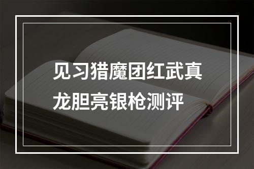 见习猎魔团红武真龙胆亮银枪测评