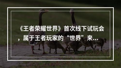 《王者荣耀世界》首次线下试玩会，属于王者玩家的“世界”来了！