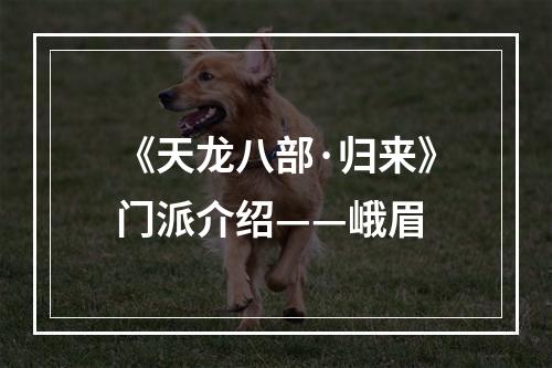 《天龙八部·归来》门派介绍——峨眉