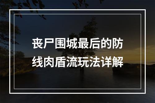 丧尸围城最后的防线肉盾流玩法详解