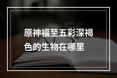 原神福至五彩深褐色的生物在哪里