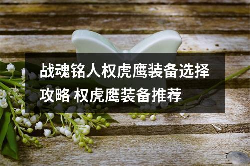 战魂铭人权虎鹰装备选择攻略 权虎鹰装备推荐