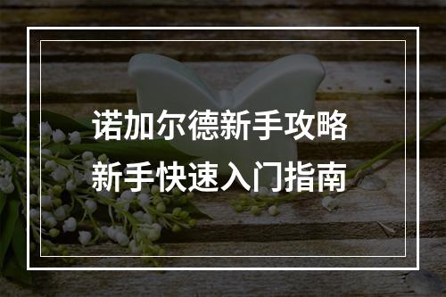 诺加尔德新手攻略 新手快速入门指南