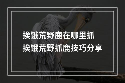 挨饿荒野鹿在哪里抓 挨饿荒野抓鹿技巧分享