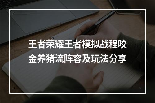 王者荣耀王者模拟战程咬金养猪流阵容及玩法分享