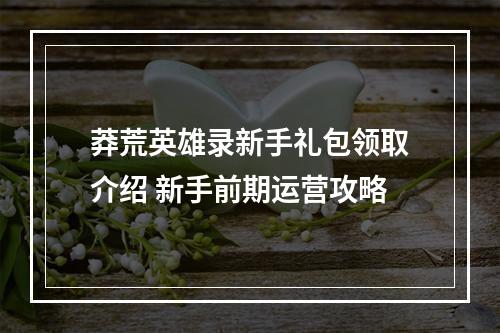 莽荒英雄录新手礼包领取介绍 新手前期运营攻略