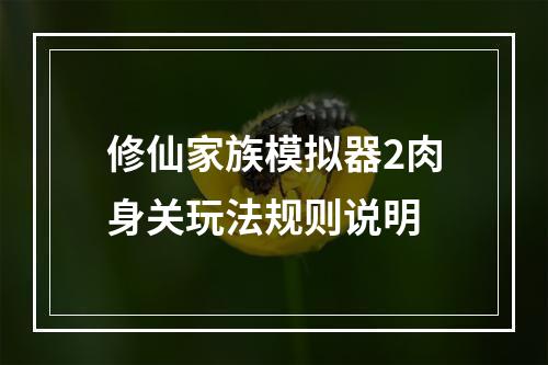 修仙家族模拟器2肉身关玩法规则说明