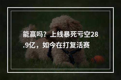 能赢吗？上线暴死亏空28.9亿，如今在打复活赛