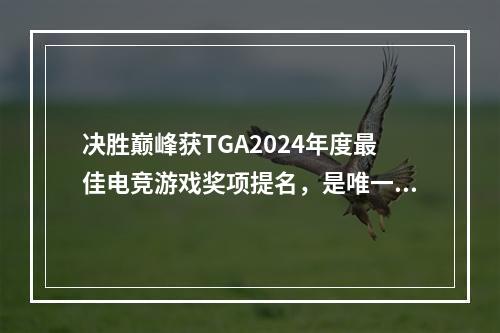 决胜巅峰获TGA2024年度最佳电竞游戏奖项提名，是唯一入围的移动端游戏