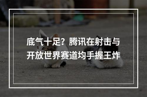 底气十足？腾讯在射击与开放世界赛道均手握王炸