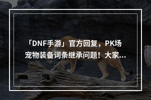 「DNF手游」官方回复，PK场宠物装备词条继承问题！大家都停一停！