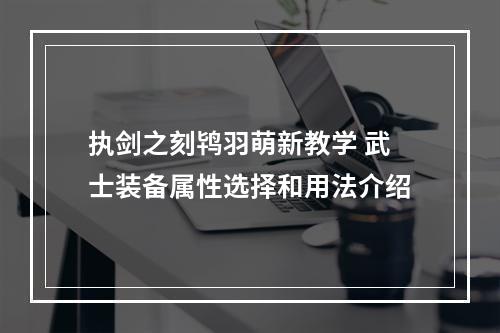 执剑之刻鸨羽萌新教学 武士装备属性选择和用法介绍