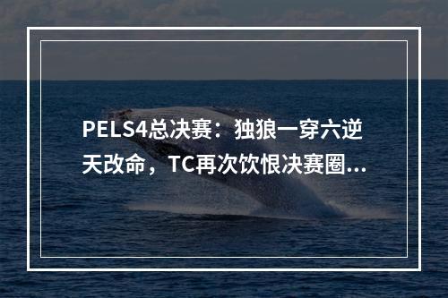 PELS4总决赛：独狼一穿六逆天改命，TC再次饮恨决赛圈屈居亚军