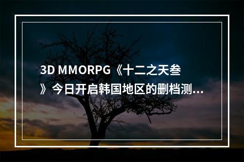 3D MMORPG《十二之天叁》今日开启韩国地区的删档测试