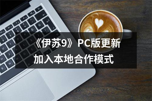 《伊苏9》PC版更新 加入本地合作模式