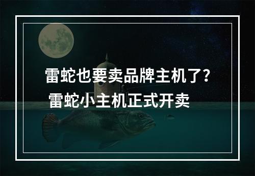 雷蛇也要卖品牌主机了？ 雷蛇小主机正式开卖