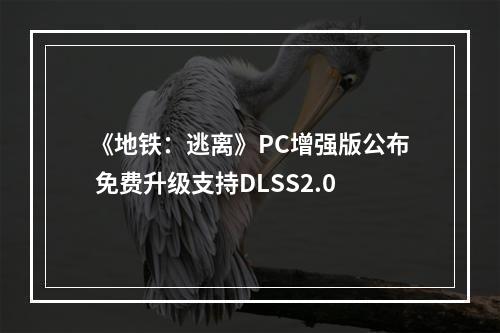 《地铁：逃离》PC增强版公布 免费升级支持DLSS2.0