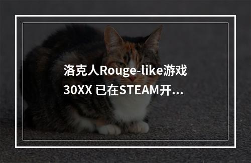 洛克人Rouge-like游戏30XX 已在STEAM开启抢先体验！