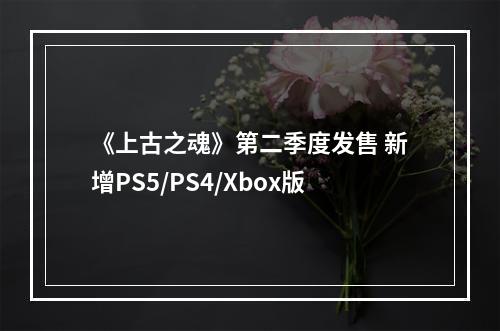 《上古之魂》第二季度发售 新增PS5/PS4/Xbox版