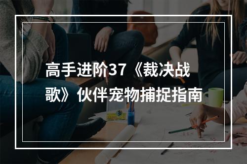 高手进阶37《裁决战歌》伙伴宠物捕捉指南