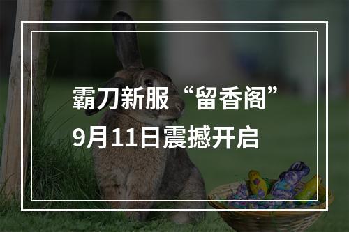 霸刀新服“留香阁”9月11日震撼开启