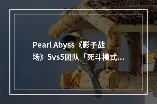 Pearl Abyss《影子战场》5vs5团队「死斗模式」大更新