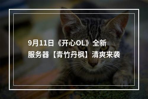 9月11日《开心OL》全新服务器【青竹丹枫】清爽来袭