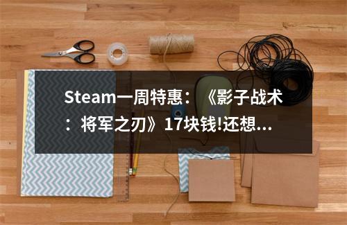 Steam一周特惠：《影子战术：将军之刃》17块钱!还想什么!买就完