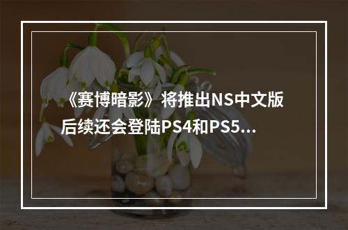 《赛博暗影》将推出NS中文版 后续还会登陆PS4和PS5平台