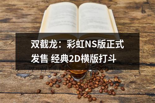 双截龙：彩虹NS版正式发售 经典2D横版打斗