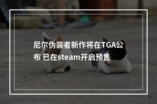 尼尔伪装者新作将在TGA公布 已在steam开启预售