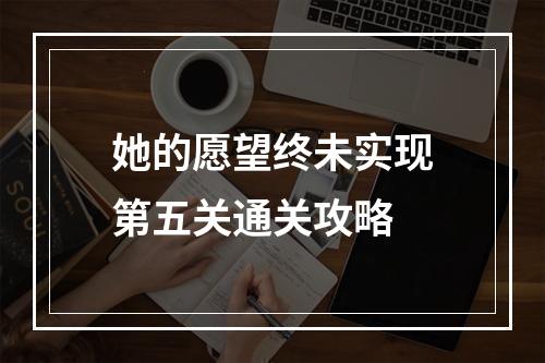 她的愿望终未实现第五关通关攻略