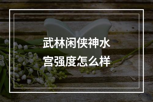 武林闲侠神水宫强度怎么样