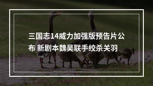 三国志14威力加强版预告片公布 新剧本魏吴联手绞杀关羽