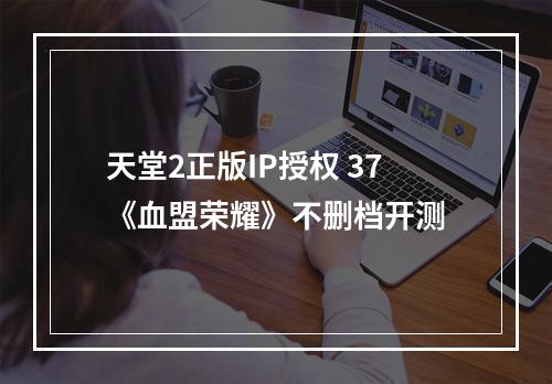 天堂2正版IP授权 37《血盟荣耀》不删档开测