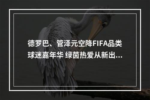 德罗巴、管泽元空降FIFA品类球迷嘉年华 绿茵热爱从新出发