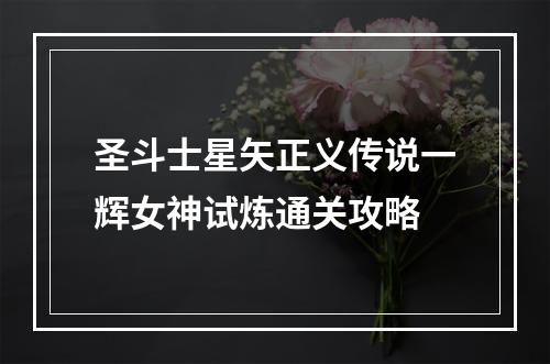 圣斗士星矢正义传说一辉女神试炼通关攻略