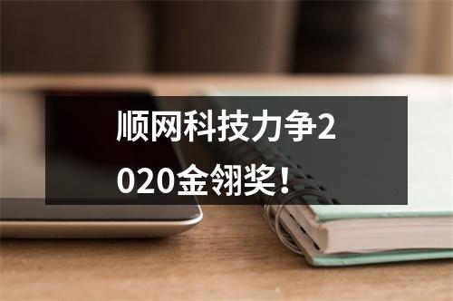 顺网科技力争2020金翎奖！