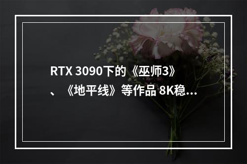 RTX 3090下的《巫师3》、《地平线》等作品 8K稳定30帧