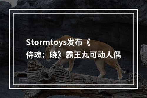 Stormtoys发布《侍魂：晓》霸王丸可动人偶