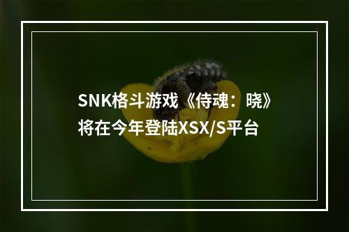 SNK格斗游戏《侍魂：晓》将在今年登陆XSX/S平台