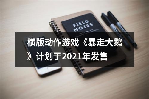 横版动作游戏《暴走大鹅》计划于2021年发售