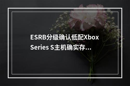 ESRB分级确认低配Xbox Series S主机确实存在