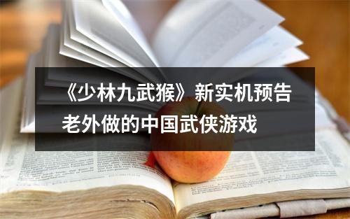 《少林九武猴》新实机预告 老外做的中国武侠游戏