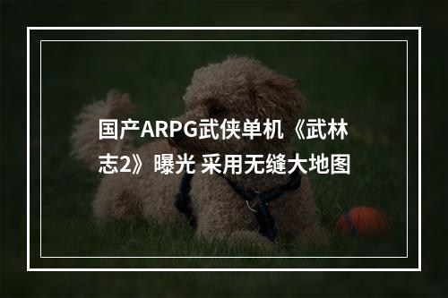 国产ARPG武侠单机《武林志2》曝光 采用无缝大地图