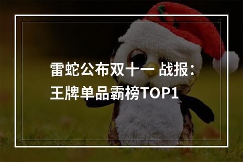 雷蛇公布双十一 战报：王牌单品霸榜TOP1