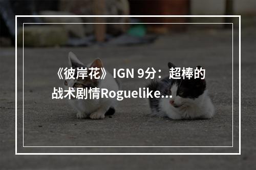 《彼岸花》IGN 9分：超棒的战术剧情Roguelike游戏